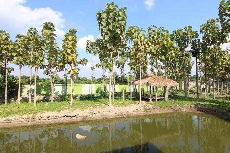 Little Teak Home Stay image