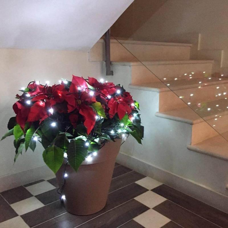 Guesthouse San Domenico image