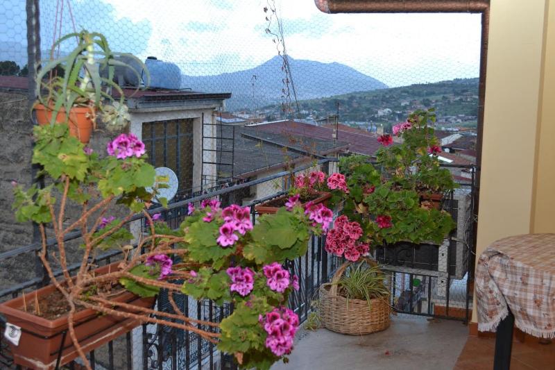 Jolly House Bolognetta image