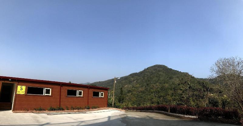 Puli