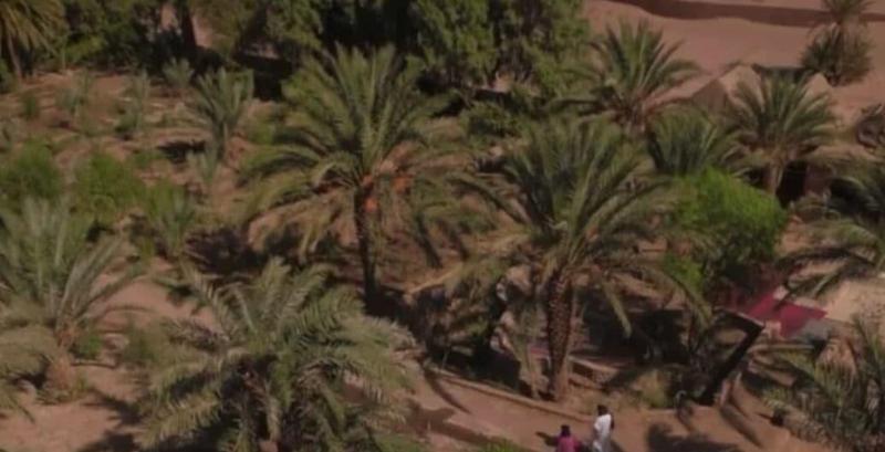 Sahara Source Vie — photo 2