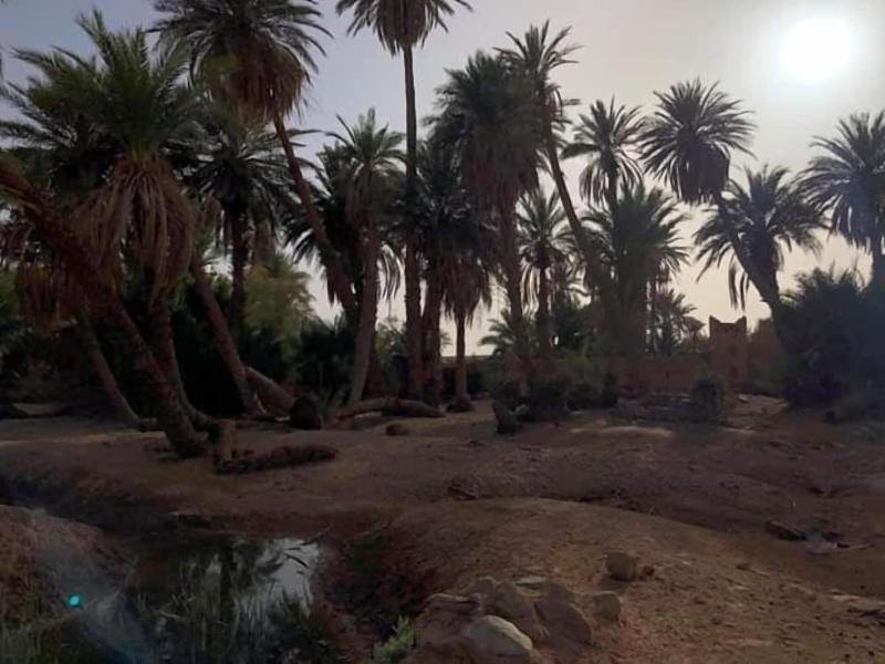 Sahara Source Vie — photo 4