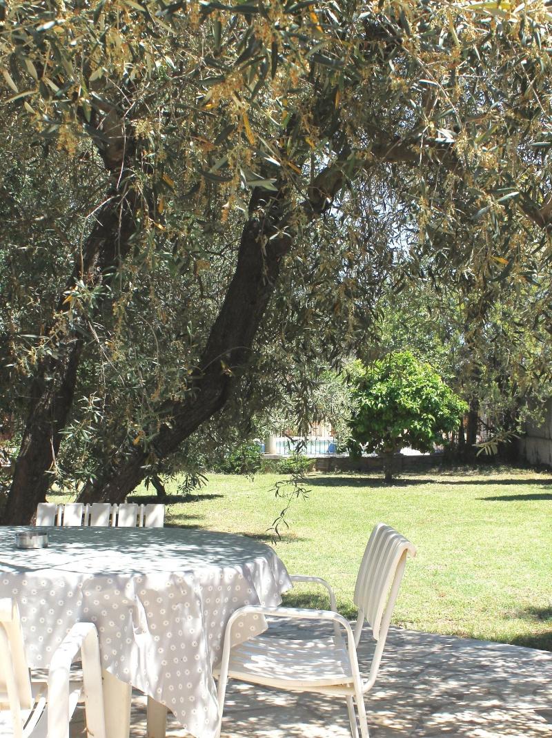 Chambres D Hotes Le Clos Des Oliviers image
