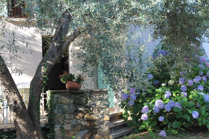 Chambres D Hotes Le Clos Des Oliviers image