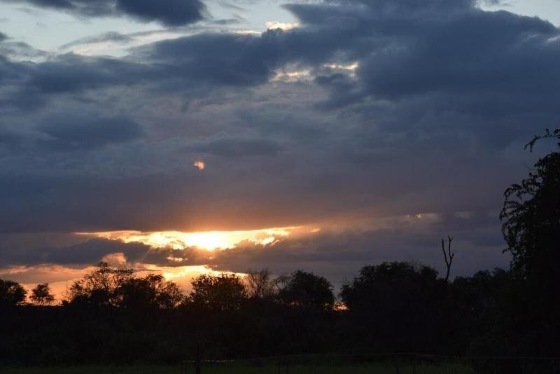 Zangarna Game Lodge, Vaalwater