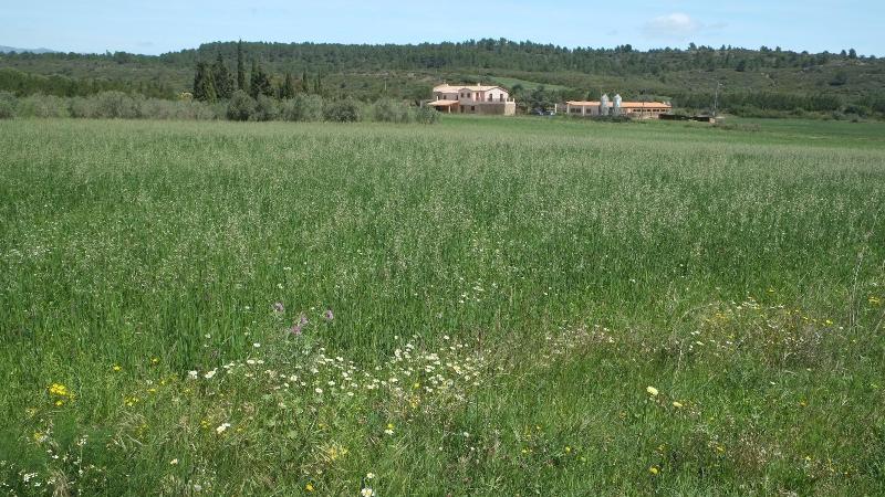 La Masia de MontpedrÃ³s — general view