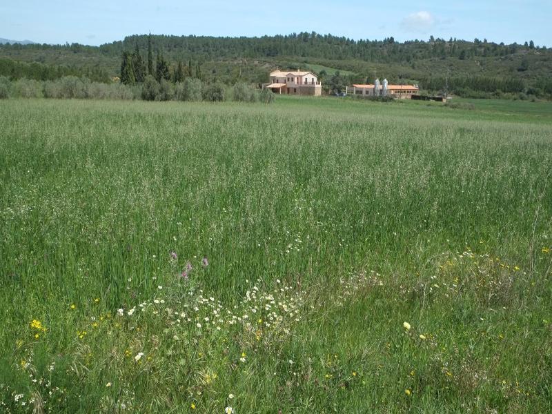 La Masia de MontpedrÃ³s image