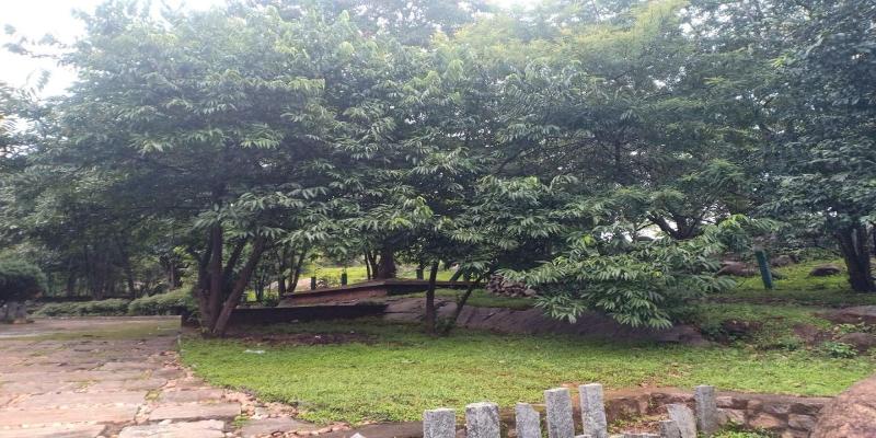 Temple Tree Residence