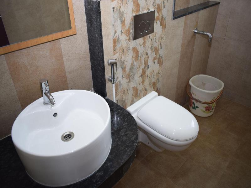 Hotel Vijay Krishna image
