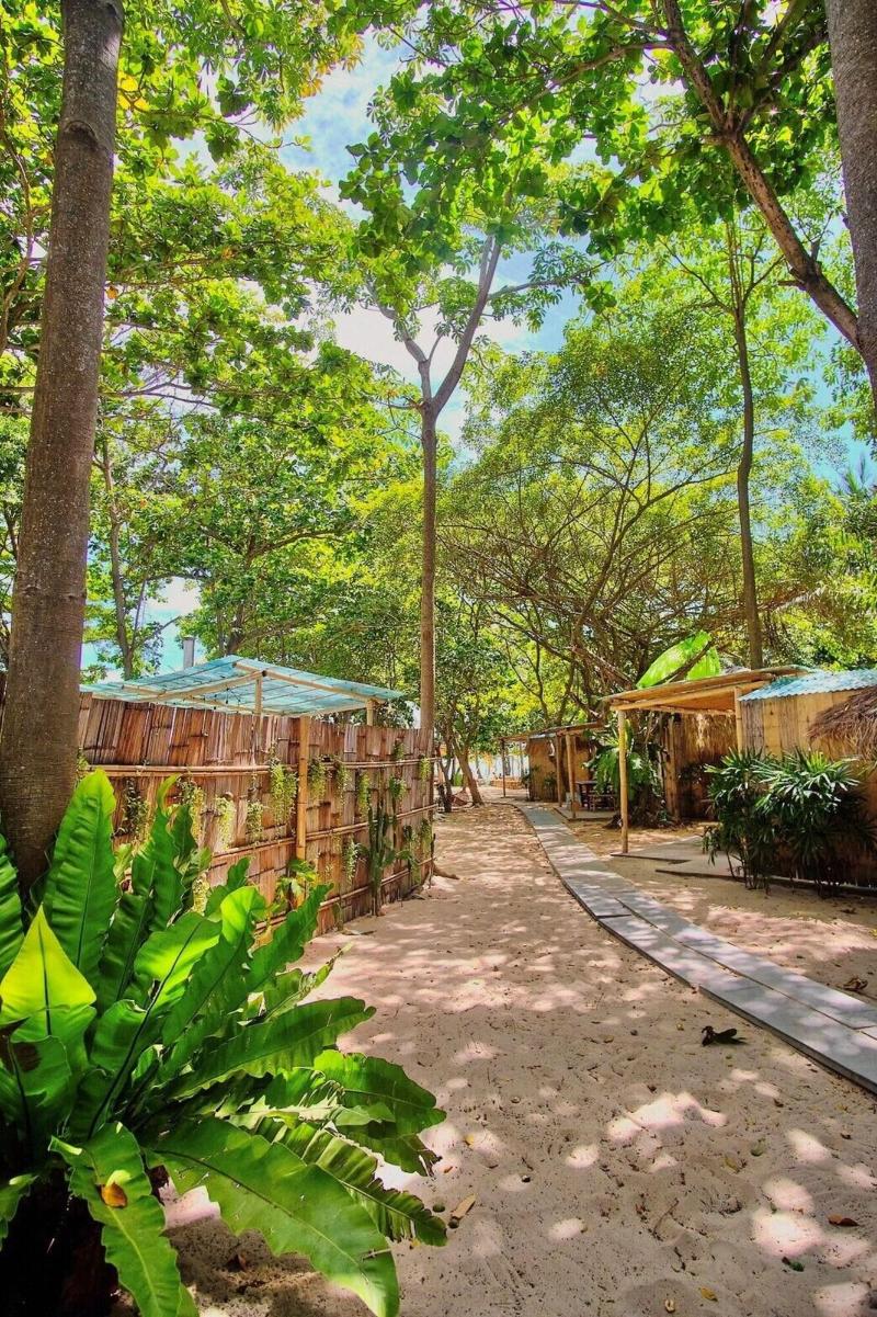 Beach House Camp image