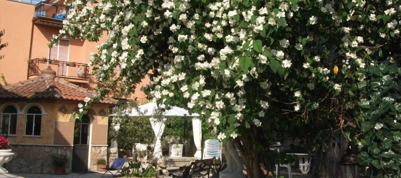 B&B Vittoria Colonna image