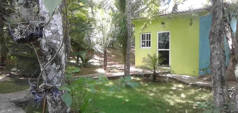 Green Jungle Hotel y Restaurante image