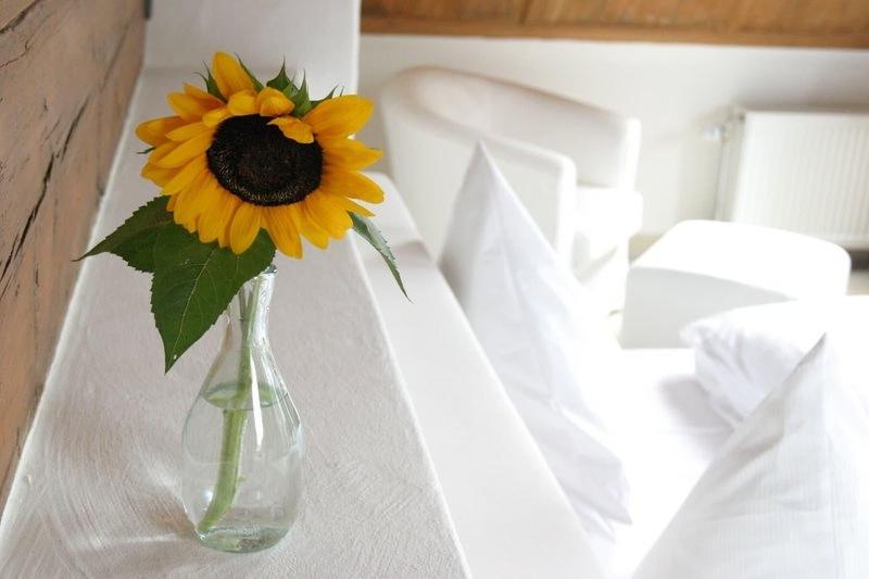 Landhotel Alte Muehle image