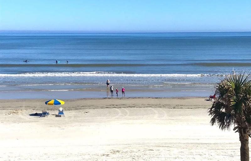 Organic Beach Retreat
