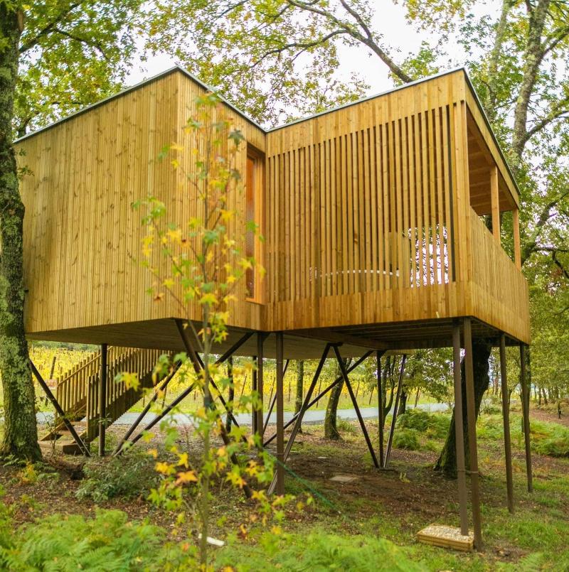 Enoturismo Marã­A Manuela