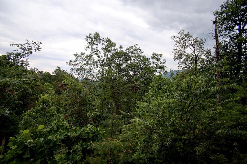 Belvedere image