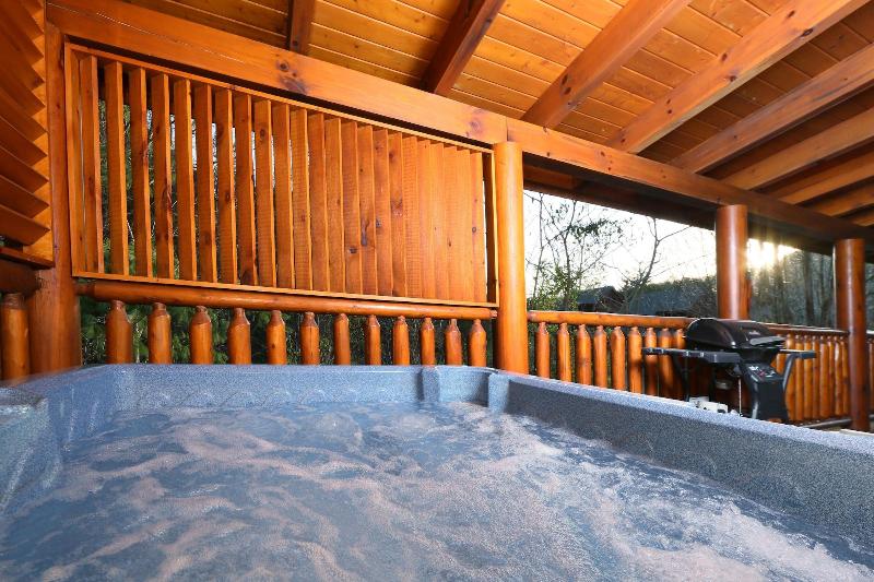 Mountain Fun - One Bedroom Cabin image