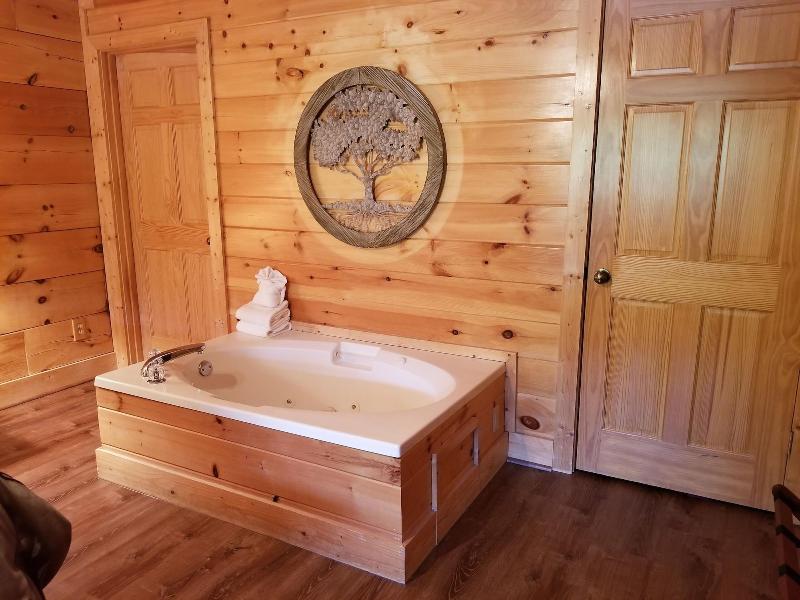 Mountain Fun - One Bedroom Cabin image