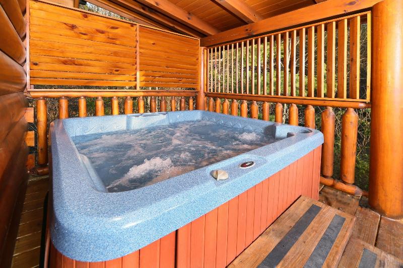 Mountain Fun - One Bedroom Cabin image