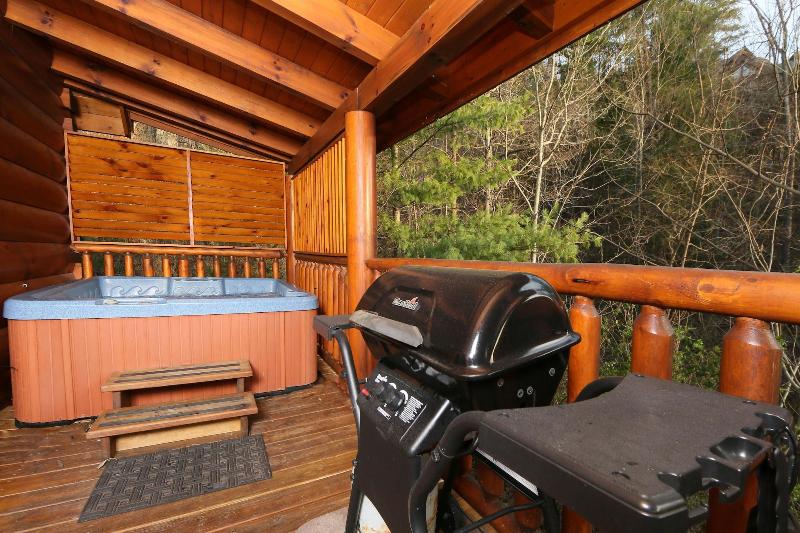 Mountain Fun - One Bedroom Cabin image