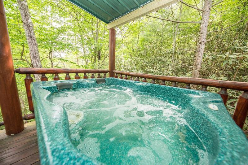Secluded Escape - One Bedroom Cabin image