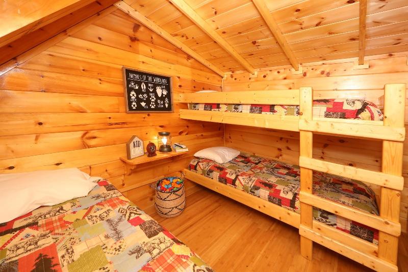 Playhouse Cinema - Four Bedroom Cabin image