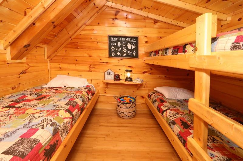Playhouse Cinema - Four Bedroom Cabin image