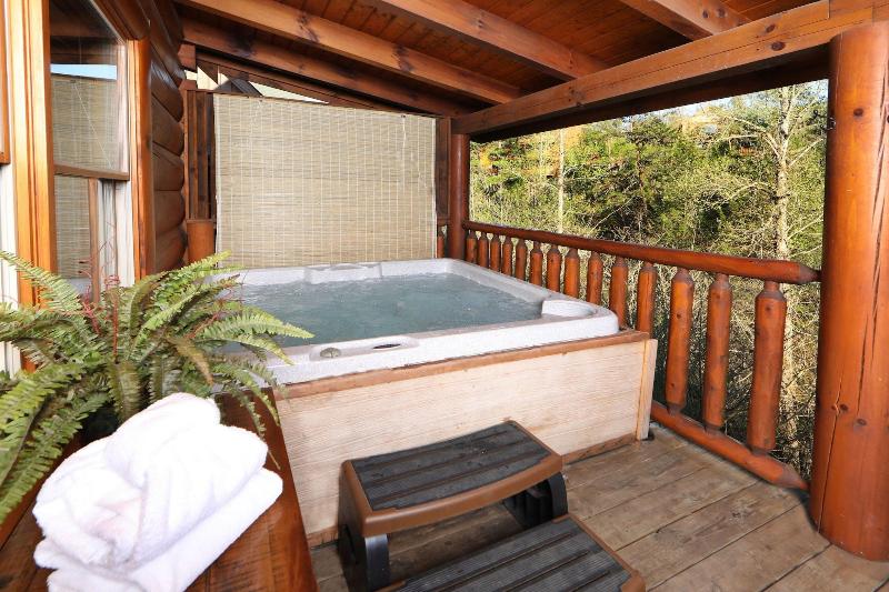 Amazing Grace - Two Bedroom Cabin image 1