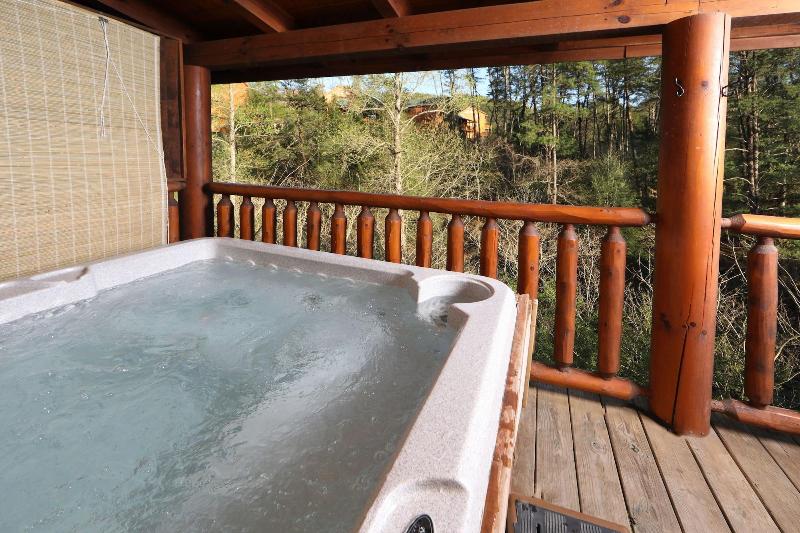Amazing Grace - Two Bedroom Cabin image 2