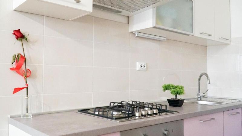 Apartment Anica image