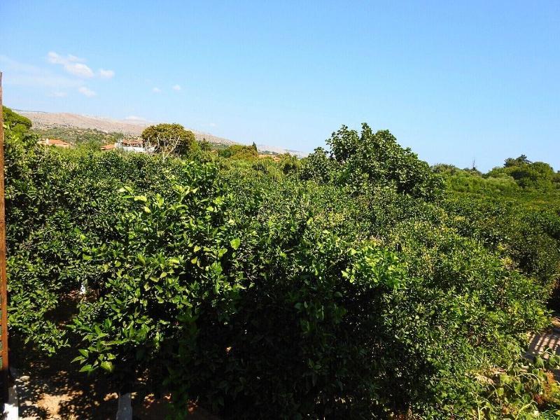Mouzaliko Guesthouse Mansion image