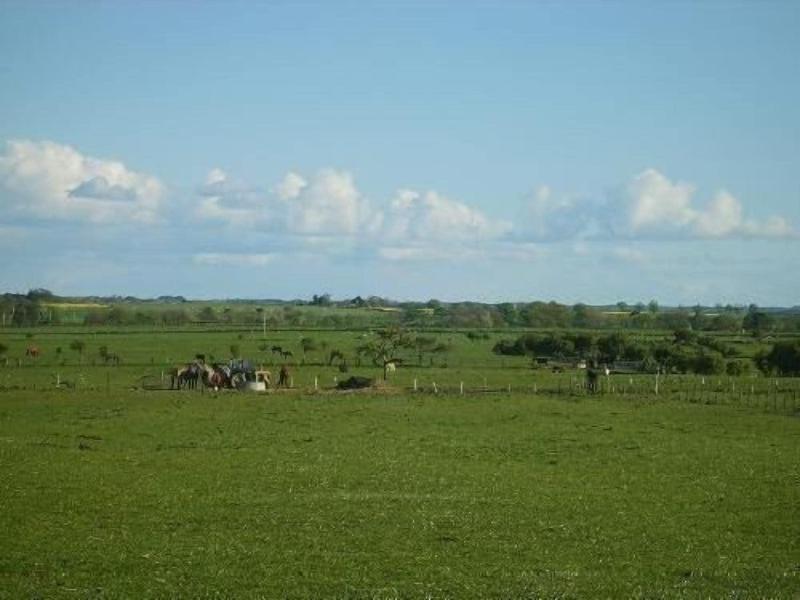 Springwood B&B image