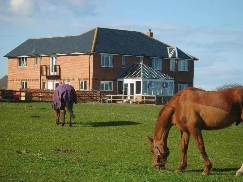 Springwood B&B — general view