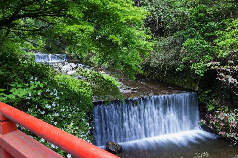 Kibune Fujiya image