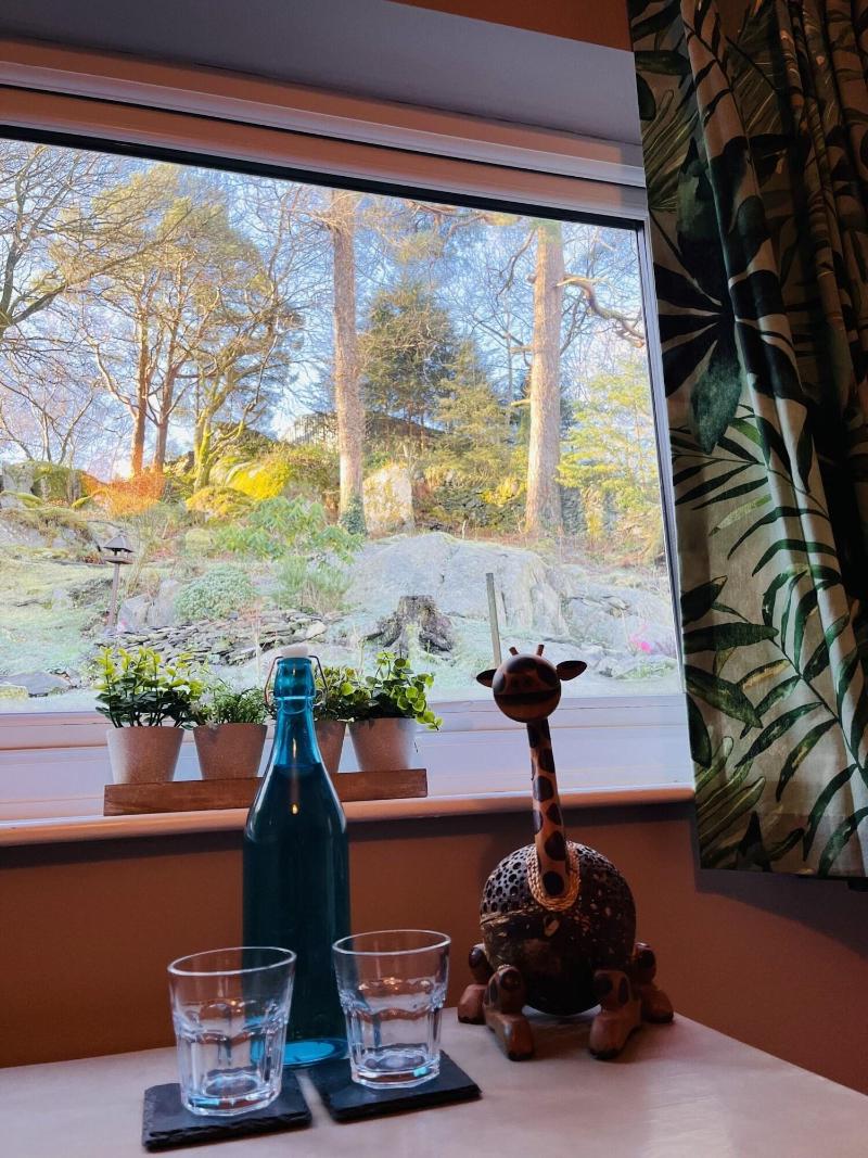 The Lake View Hotel image