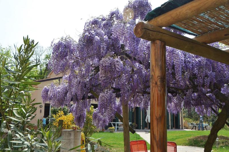 Terre Bianche agriturismo image