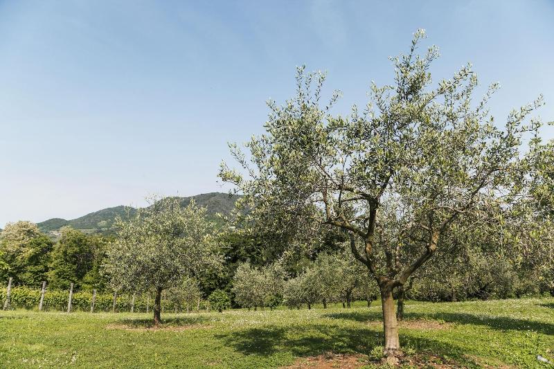Terre Bianche agriturismo image