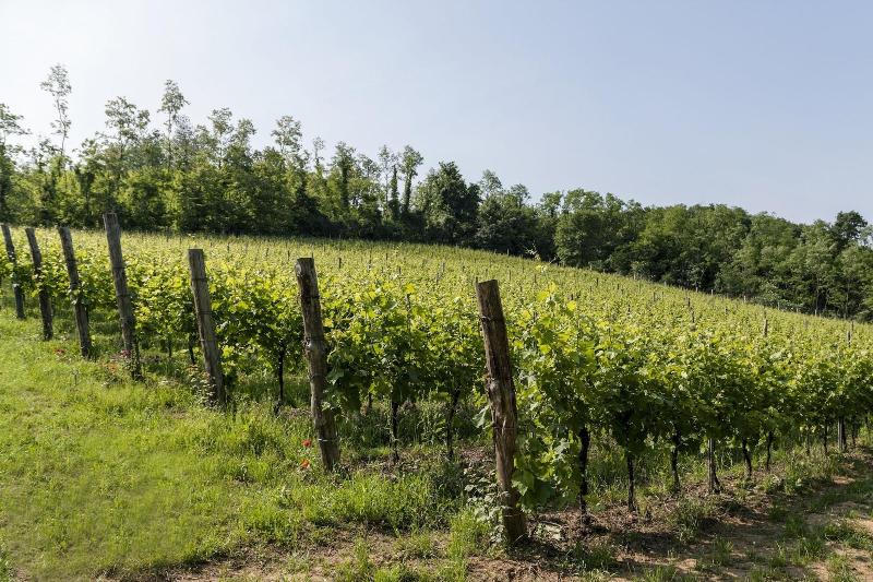 Terre Bianche agriturismo image