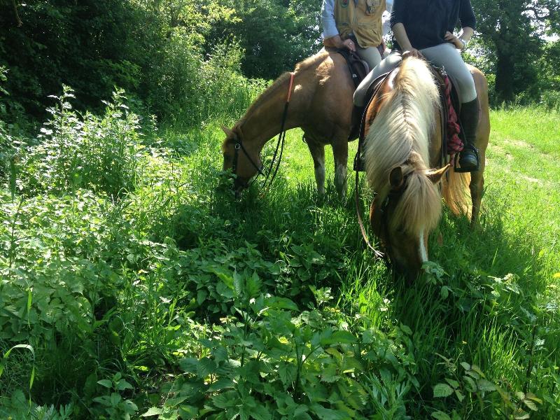 Terre Bianche agriturismo image