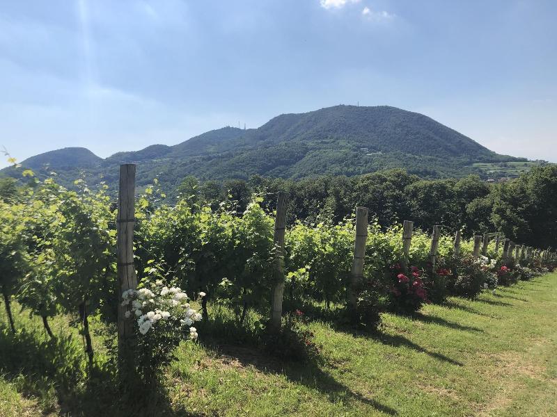 Terre Bianche agriturismo image