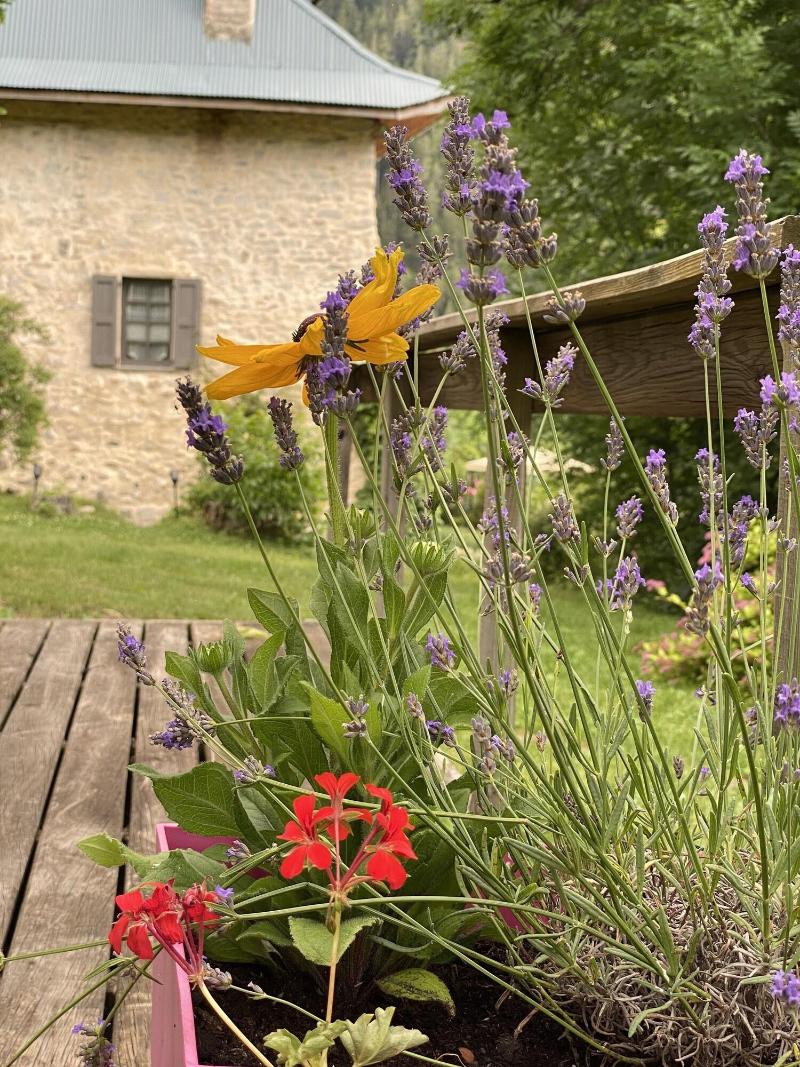 Maison d'hÃ´tes les MÃ©ans image