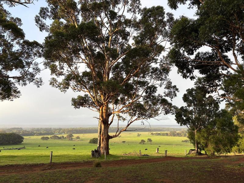 Augusta Sheoak Chalets