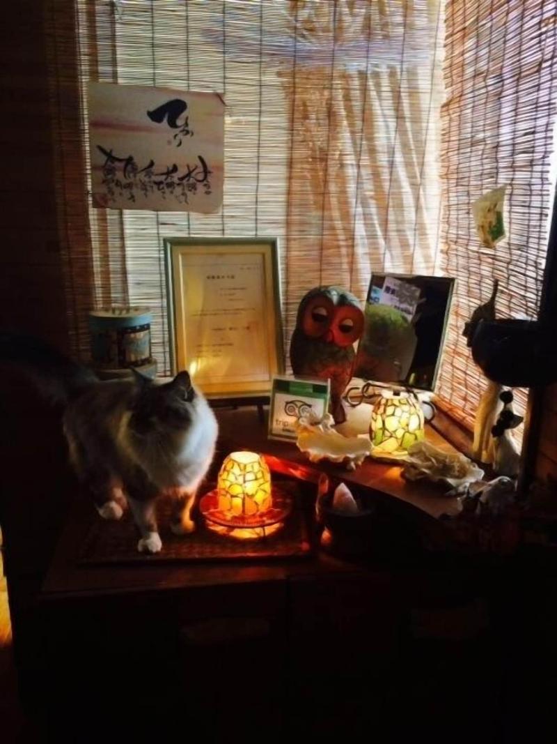 Milk-ya Women-Only Guest House image