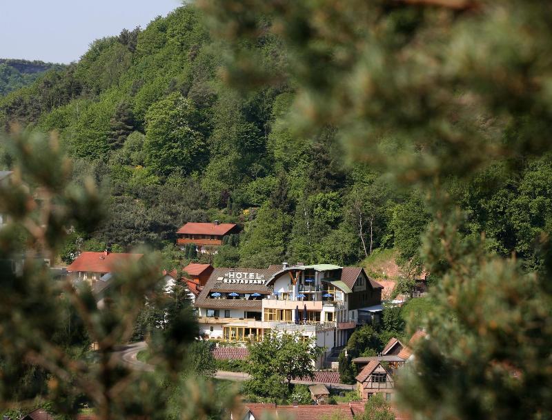 Landhaus Am Hirschhorn — general view