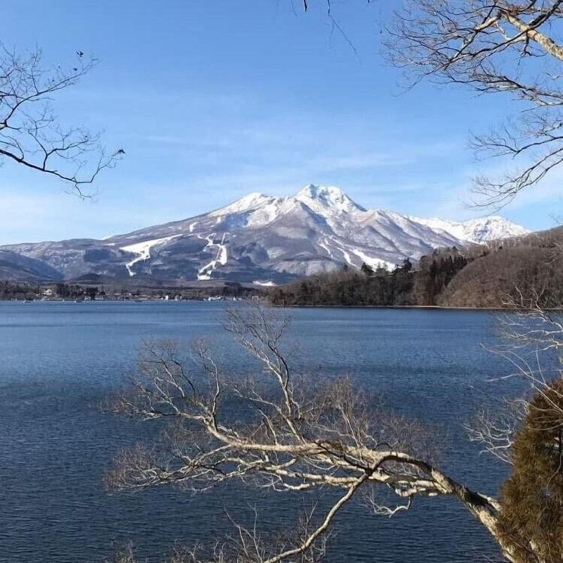 Myoko Forest Lodge - Hostel 4