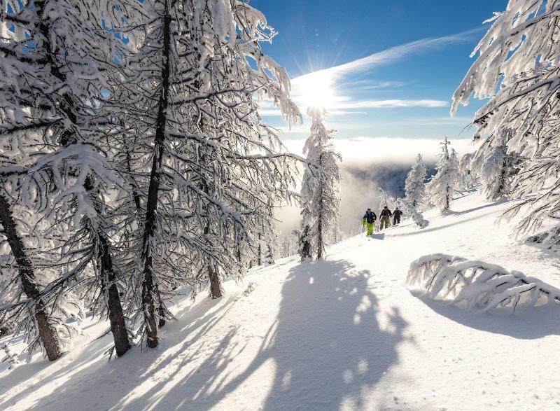 Berghotel Altes Wallberghaus image