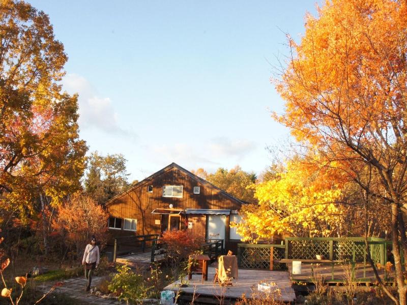 Gallery Hara & Guest House image