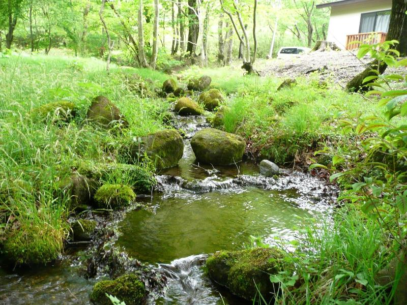 Scotch Court image