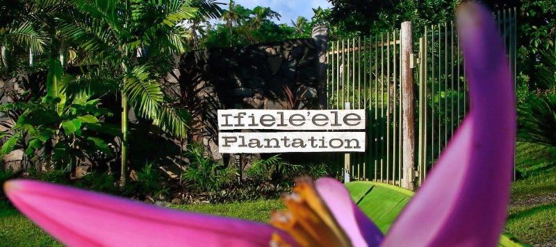 Ifiele'ele Plantation image