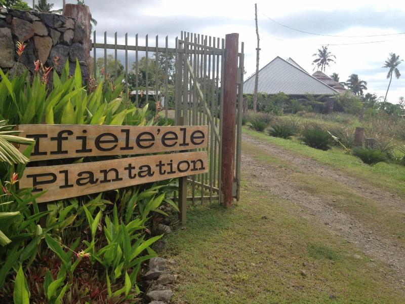 Ifiele'ele Plantation image